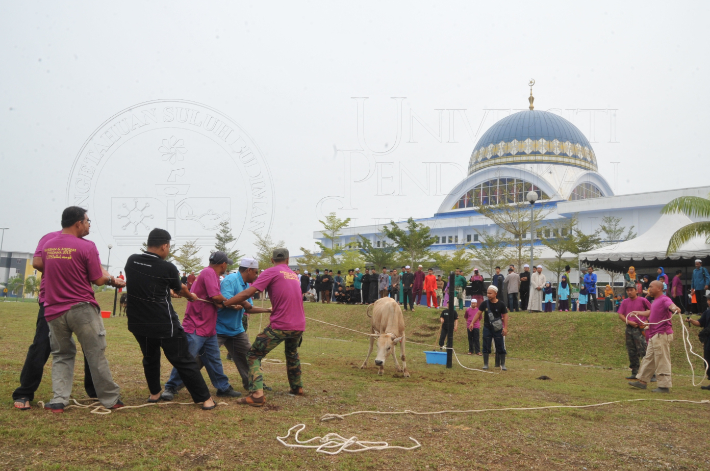 PRO15 150 KORBAN HAS 6672